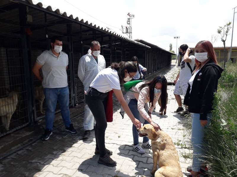 AIESEC Odunpazarı Belediyesi Geçici Hayvan Bakımevi’ni ziyaret etti