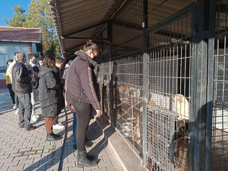 Erasmus öğrencileri Odunpazarı Belediyesi’nin Geçici Hayvan Bakımevi’ni gezdi