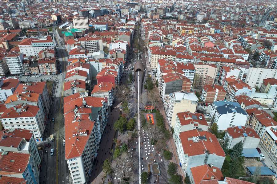Hamamyolu Caddesi’nde ağaç budama çalışması başlıyor